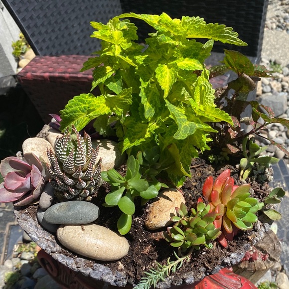 Meet the Posher Kasia - Picture 14 of 16